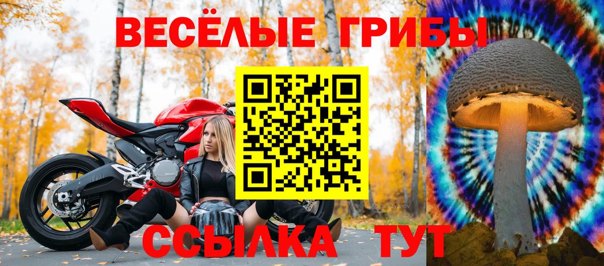 Чехов  Галлюциногенные грибы MAGIC MUSHROOMS  Вход с VPN 