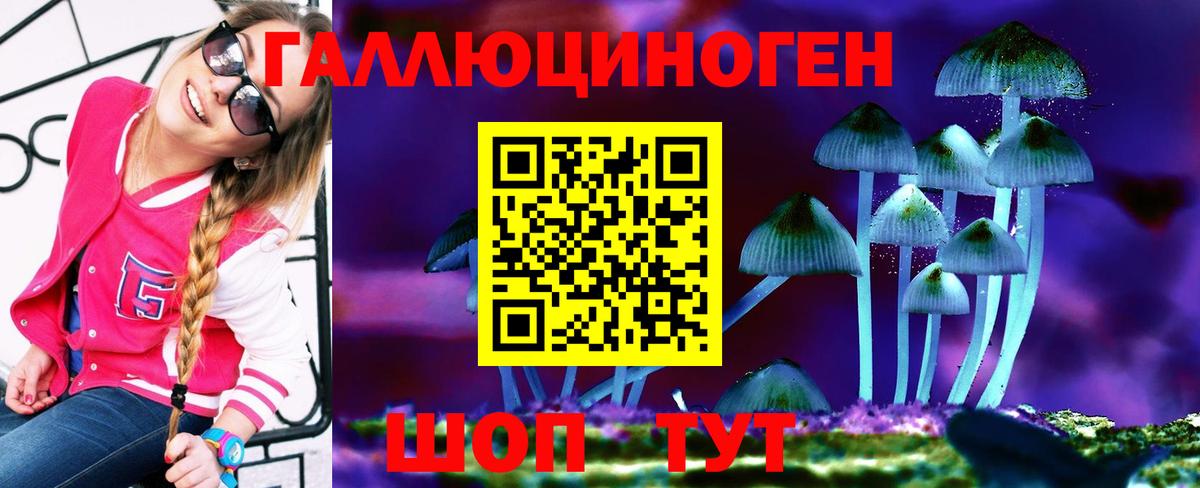Псилоцибиновые грибы Psilocybine cubensis Чехов